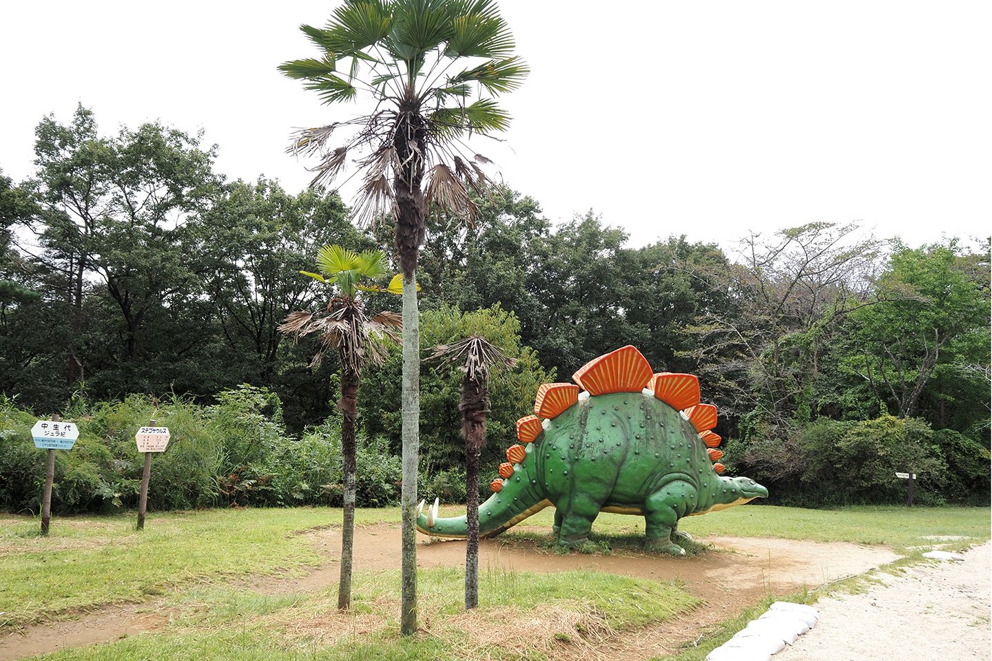 🌳 미토시 삼림공원(미토시 신린코엔) 이미지 3